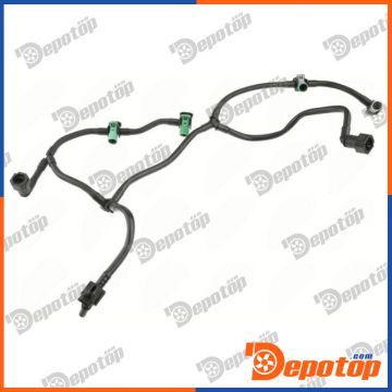 Tuyau, carburant de fuite pour FORD | BPP-FR-029, 2215547